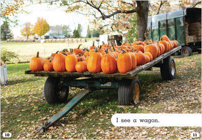 Let's Look at Fall:At the Pumpkin Patch