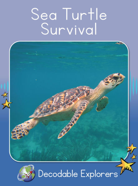 Sea Turtle Survival(Decodable Explorers Non Fiction A-Skill Set 8)