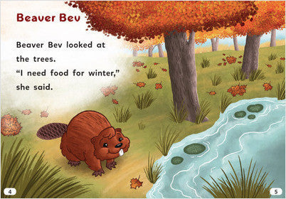 Let's Look at Fall:Beaver Bev