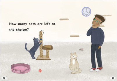 Math All Around:Any Shelter Cats Left?