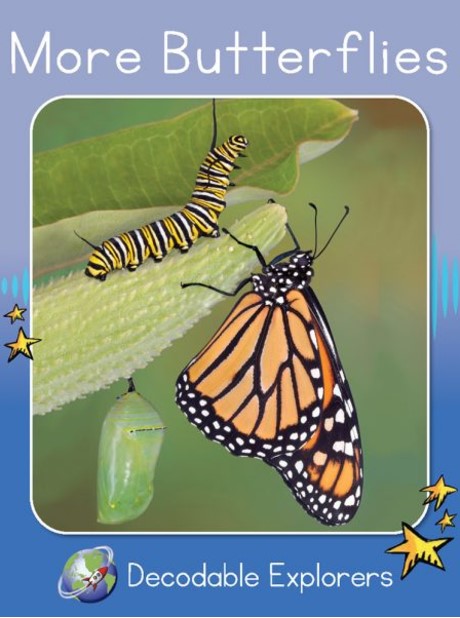 More Butterflies(Decodable Explorers Non Fiction A-Skill Set 8)