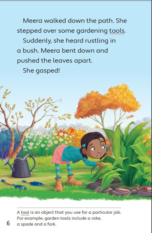 Tiny Big Animals-Meera's Tiny Big Move(Readerful OUP Stage 7)