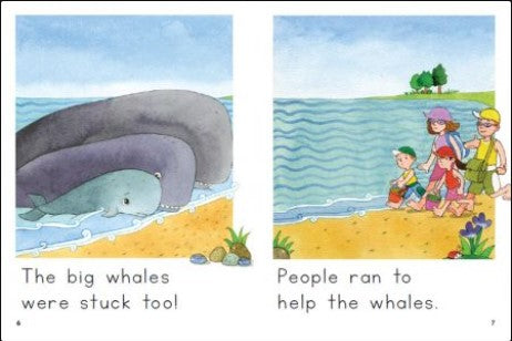 Help the Whales(Decodable Explorers Fiction A - Skill Set 6)