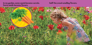 National Geographic Kids: Look & Learn: In My Garden(PB)