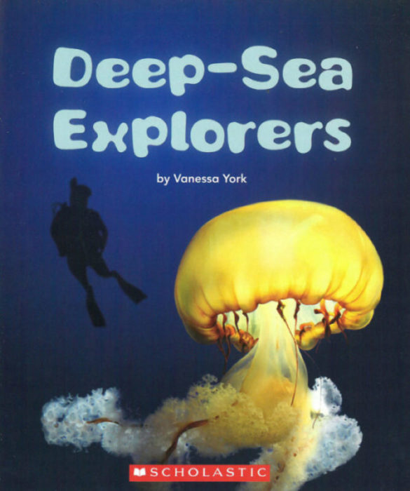 Deep-Sea Explorers(GR Level O)