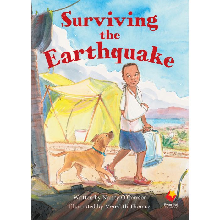 FS Level S:Surviving The Earthquake