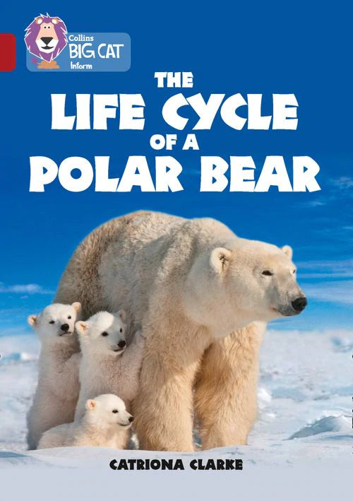 Collins Big Cat Ruby(Band 14)The Life Cycle of a Polar Bear