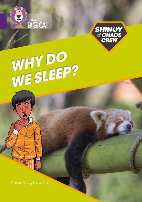 Collins Big Cat Purple(Band 8):Why Do We Sleep?