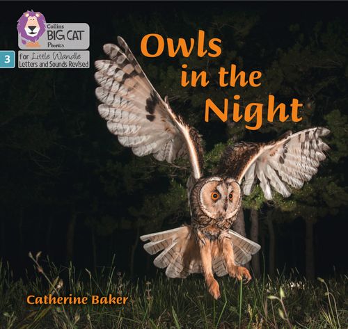 Little Wandle-Phase 3: Owls in the Night