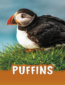 Puffins (Paperback)