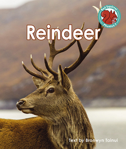 Reindeer (Paperback)