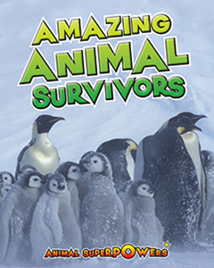 Amazing Animal Survivors (Paperback)