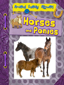 Horses and Ponies (Paperback)