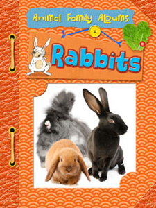 Rabbits (Paperback)