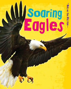 Soaring Eagles (Paperback)