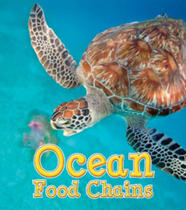 Ocean Food Chains (Paperback)