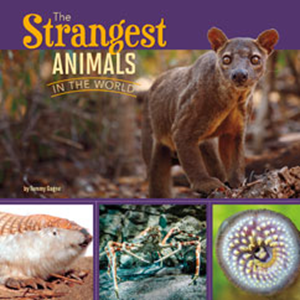 The Strangest Animals in the World (Paperback)