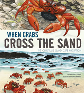 When Crabs Cross the Sand (Paperback)