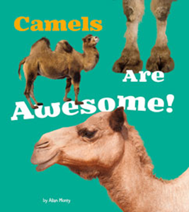 Camels Are Awesome! (Paperback)