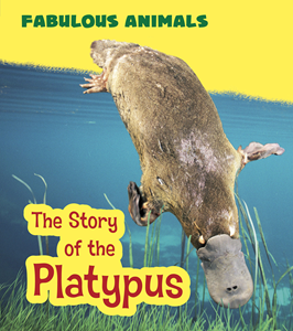 The Story of the Platypus (Paperback)