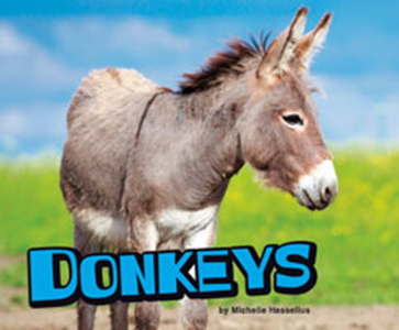 Donkeys (Paperback)