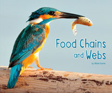 Food Chains and Webs (Paperback)