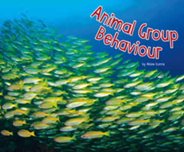 Animal Group Behaviour (Paperback)