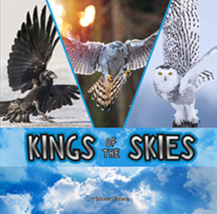 Kings of the Skies (Paperback)