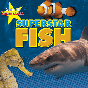 Fish Superstars (Paperback)