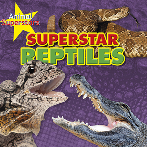 Reptile Superstars (Paperback)