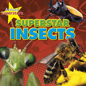 Insect Superstars (Paperback)