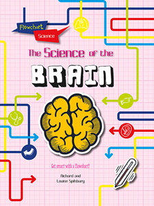 Flowchart Science: The Human Body:The Brain(PB)