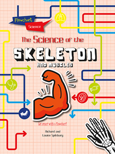 Flowchart Science: The Human Body:The Skeleton and Muscles(PB)