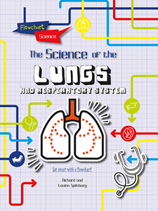 Flowchart Science: The Human Body:The Respiratory System(PB)