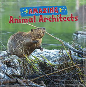 Amazing Animal Architects (Paperback)