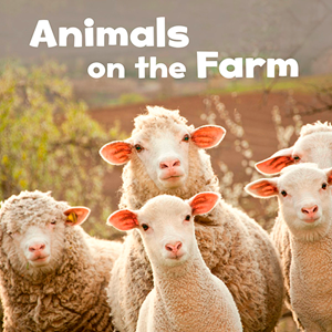 Animals on the Farm(Paperback)