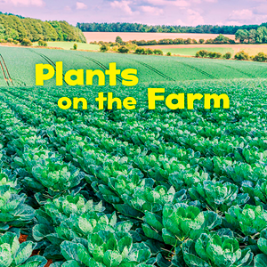 Plants on the Farm (Paperback)