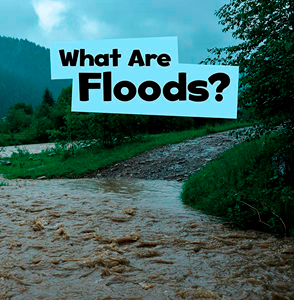 What Are Floods?(Paperback)