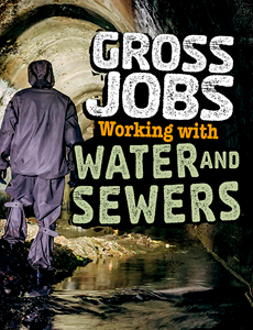 Gross Jobs Working with Water and Sewers (Paperback)