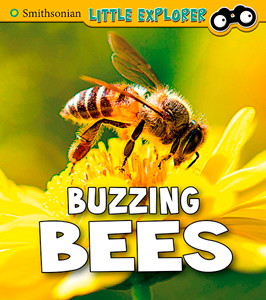 Buzzing Bees (Paperback)