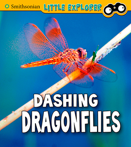 Dashing Dragonflies (Paperback)