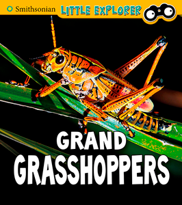 Grand Grasshoppers (Paperback)