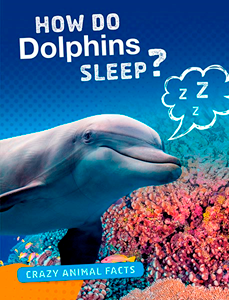 How Do Dolphins Sleep? (Paperback)