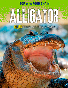 Top of the Food Chain:Alligator(PB)