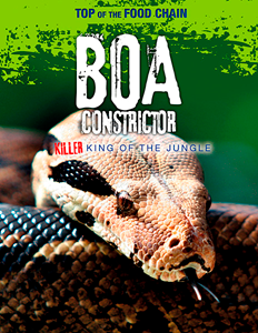 Top of the Food Chain:Boa Constrictor(PB)