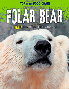 Top of the Food Chain:Polar Bear(PB)