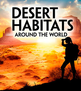 Exploring Earth's Habitats:Desert Habitats Around the World(PB)