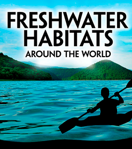 Exploring Earth's Habitats:Freshwater Habitats Around the World(PB)