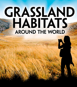 Exploring Earth's Habitats:Grassland Habitats Around the World(PB)