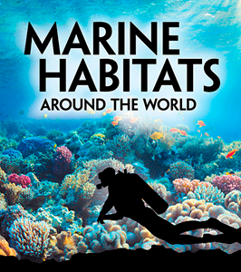 Exploring Earth's Habitats:Marine Habitats Around the World(PB)